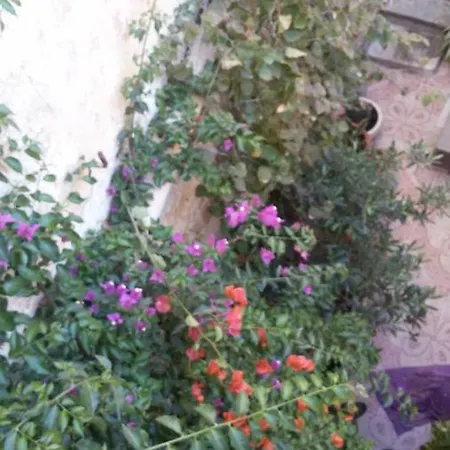 Charming Maltese Apartment With Terrace *